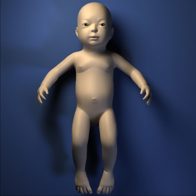 baby 3d model free