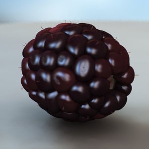 black berry blackberry 3d model