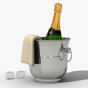 champagne bucket bottle 3d model