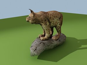 3d lynx cat model
