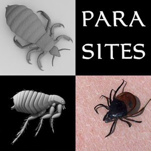 parasites louse tick flea 3ds