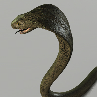 maya cobra snake