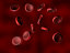 big science bacteria blood cells max