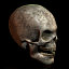 skull old 3d model