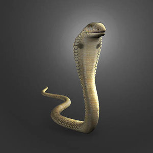 3dsmax king cobra animation