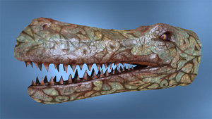 dinosaur head 3d model