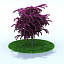 garden plants 3d model