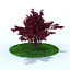 garden plants 3d model