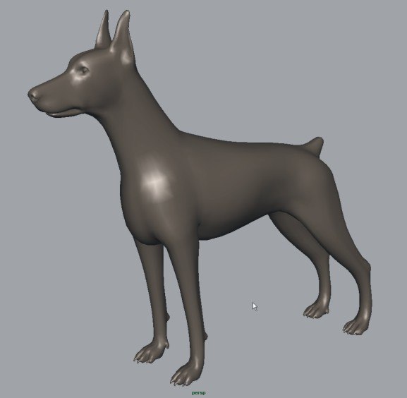 dog 3d model