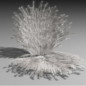 white feather shell 3d model