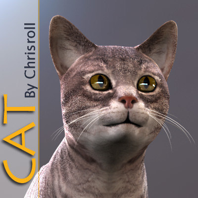 3d model cat animation