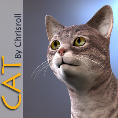  3d  model  cat  animation 