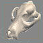 dog skull 3d model