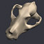 dog skull 3d model