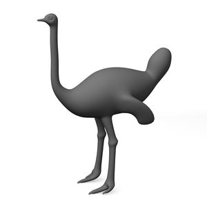 3d model ostrich