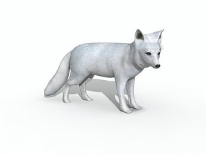 3d arctic fox