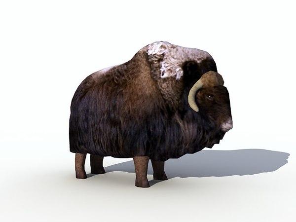 muskox plush