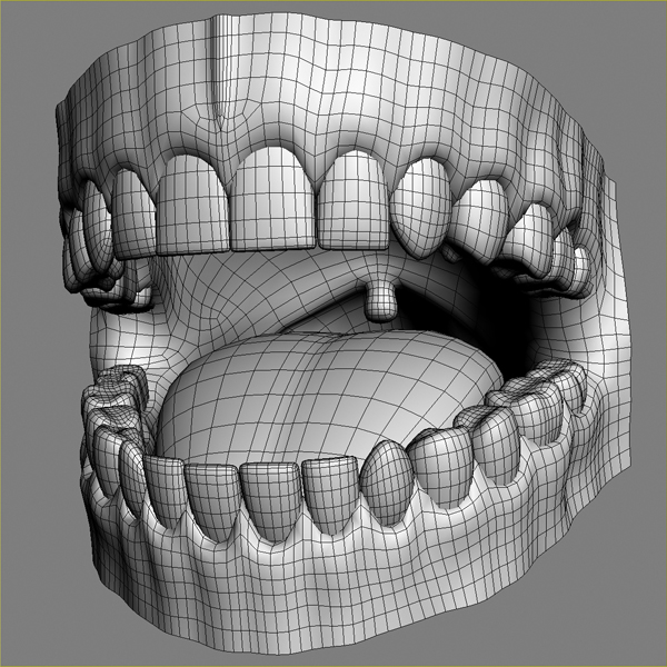 人类牙龈3d模型3d模型
