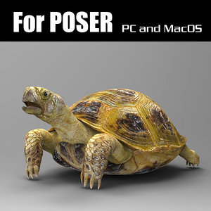 turtle poser 3d model