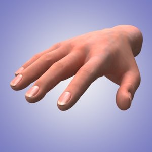 3d model of human hand