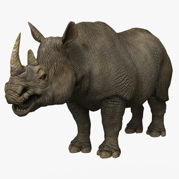Rhinoceros 3D 7.30.23163.13001 free downloads