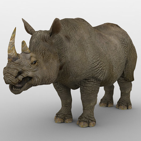 Rhinoceros 3D 7.32.23215.19001 download