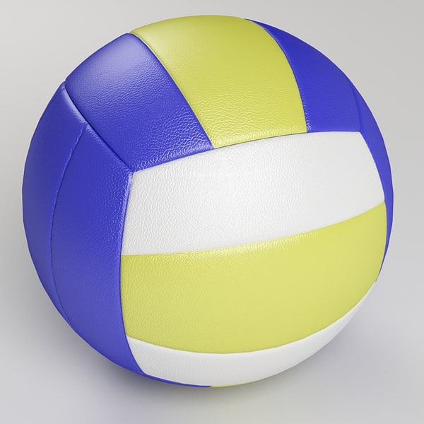 volleyball balls max