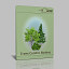 trees busche conifer 3d 3ds