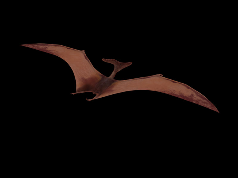 pteranodon o pterodáctilo