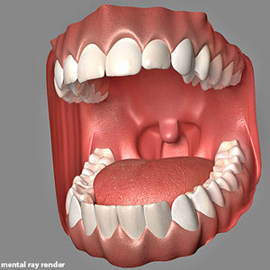 3d model mouth tongue max5