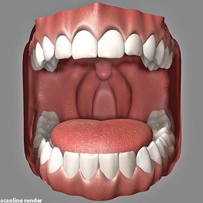 3d model mouth tongue max5