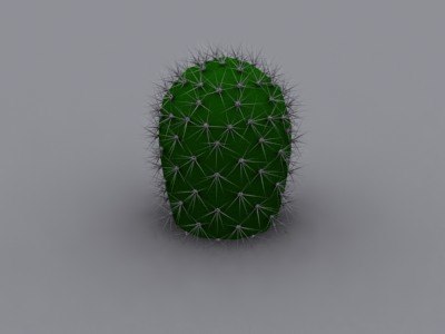 3d model of cactus plant