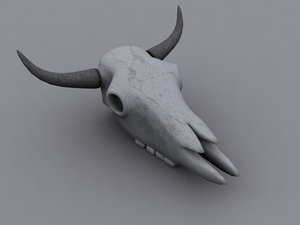maya cow skull