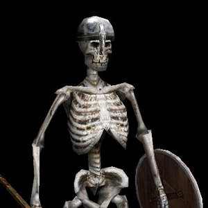 3d skeleton rigged