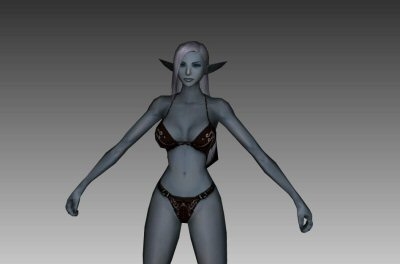 Lineage 2 Hentai
