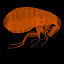 directx human flea