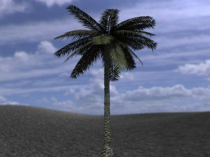 3d obj palm palmera