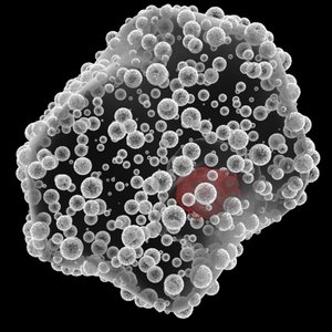 3d macrophages cells white blood model