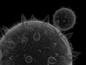 max micro pollen