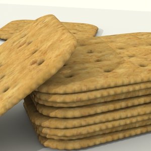 wheat cracker 3d model