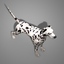 3d dog 2 husky dalmatian model