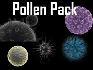 3d model pollen cell