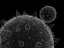 3d model pollen cell