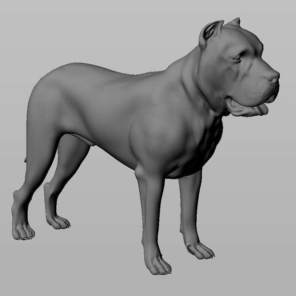 3d extensive dog model