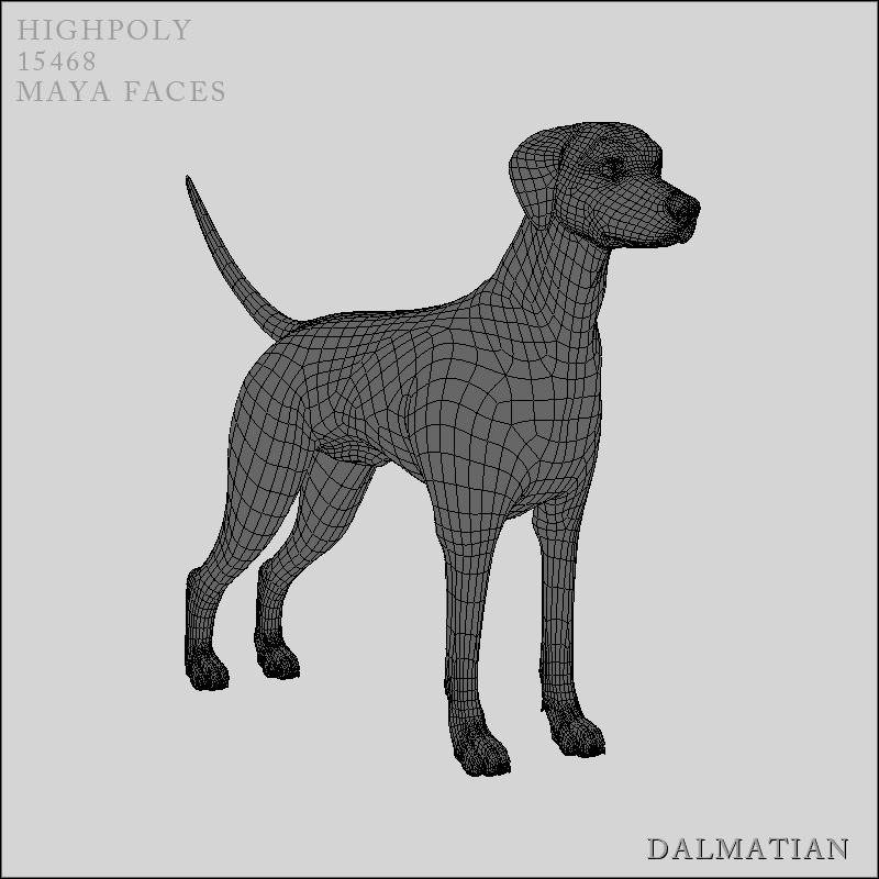 3d extensive dog model