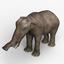 platybelodon elephant 3d model