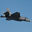 f-35 lightning ii fighter 3d model