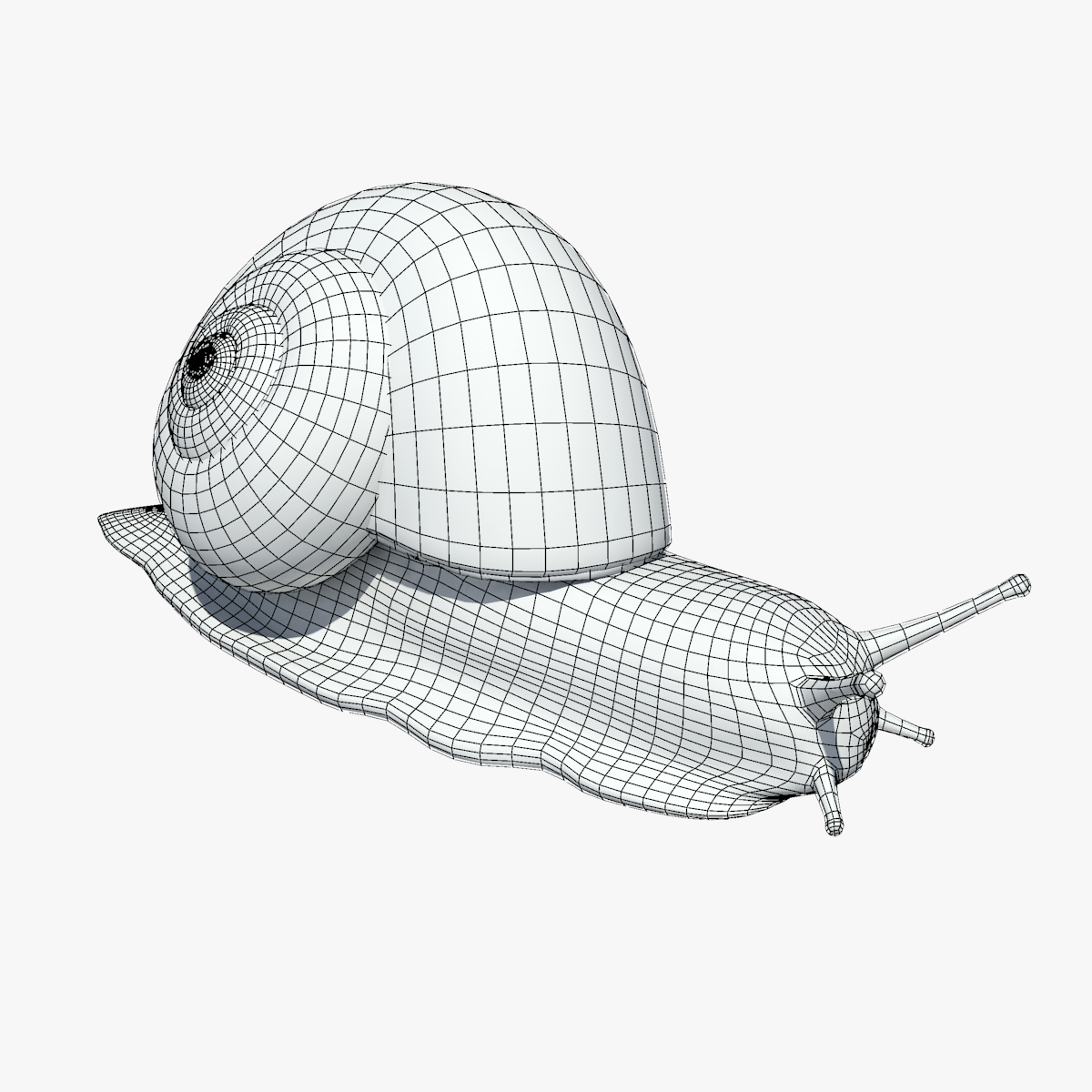 蜗牛(helix pomatia)3d模型