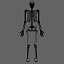 female skeleton 3d model