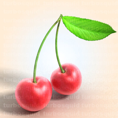 3d photo realistic cherry